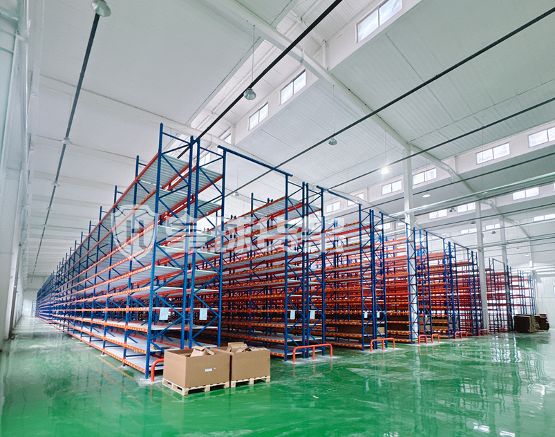 Warehouse Racking Solutions for Automotive Industry: King Global Shelf Case Study
